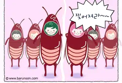 심술캐롤쏭