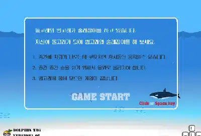 돌고래-술래잡기